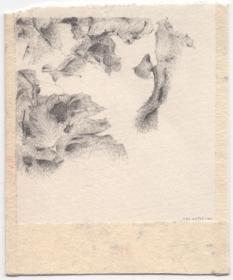 Nature study - ​​​​​​​10/09/'17